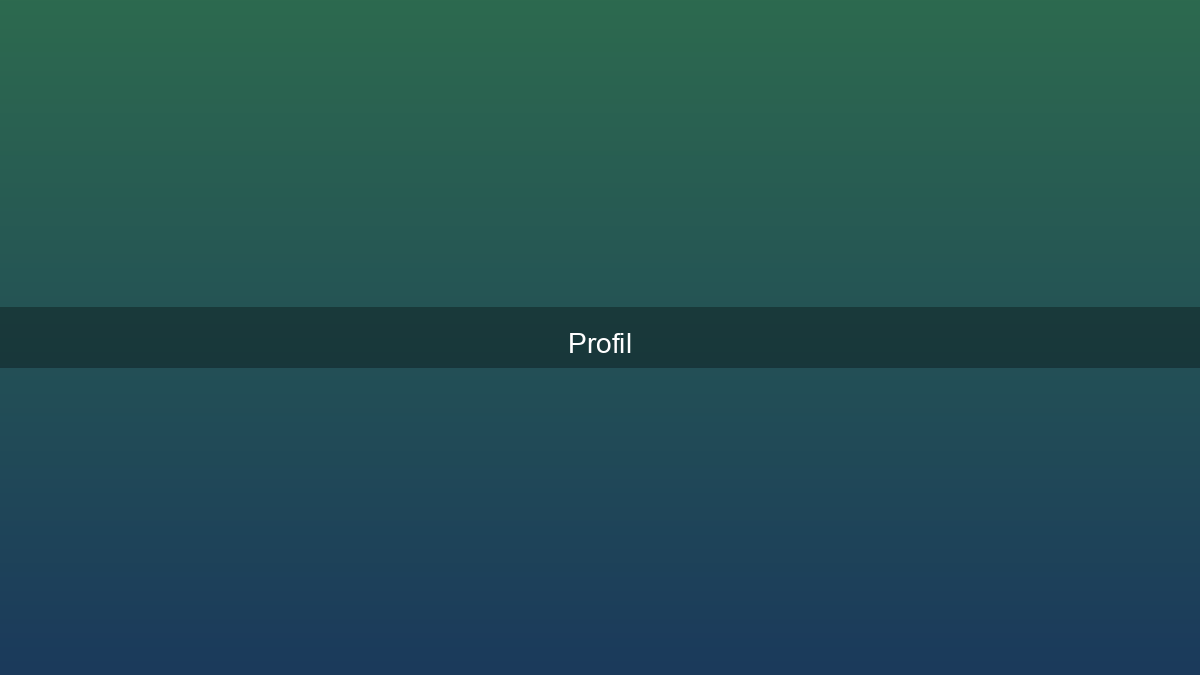 Profil mit Karma-Level und Badges